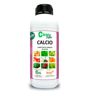 CLEANFOL CALCIO