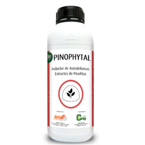 PINOPHYTAL