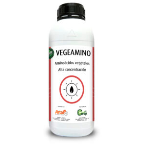 VEGAMINO
