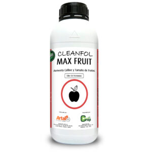 CLEANFOL MAX FRUIT